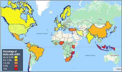 “Congenital cytomegalovirus in Sub-Saharan Africa—a narrative review with practice recommendations”